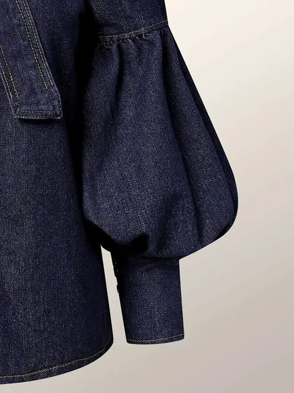 Long Sleeves Puff Sleeves Bow-Embellished Buttoned Split-Top