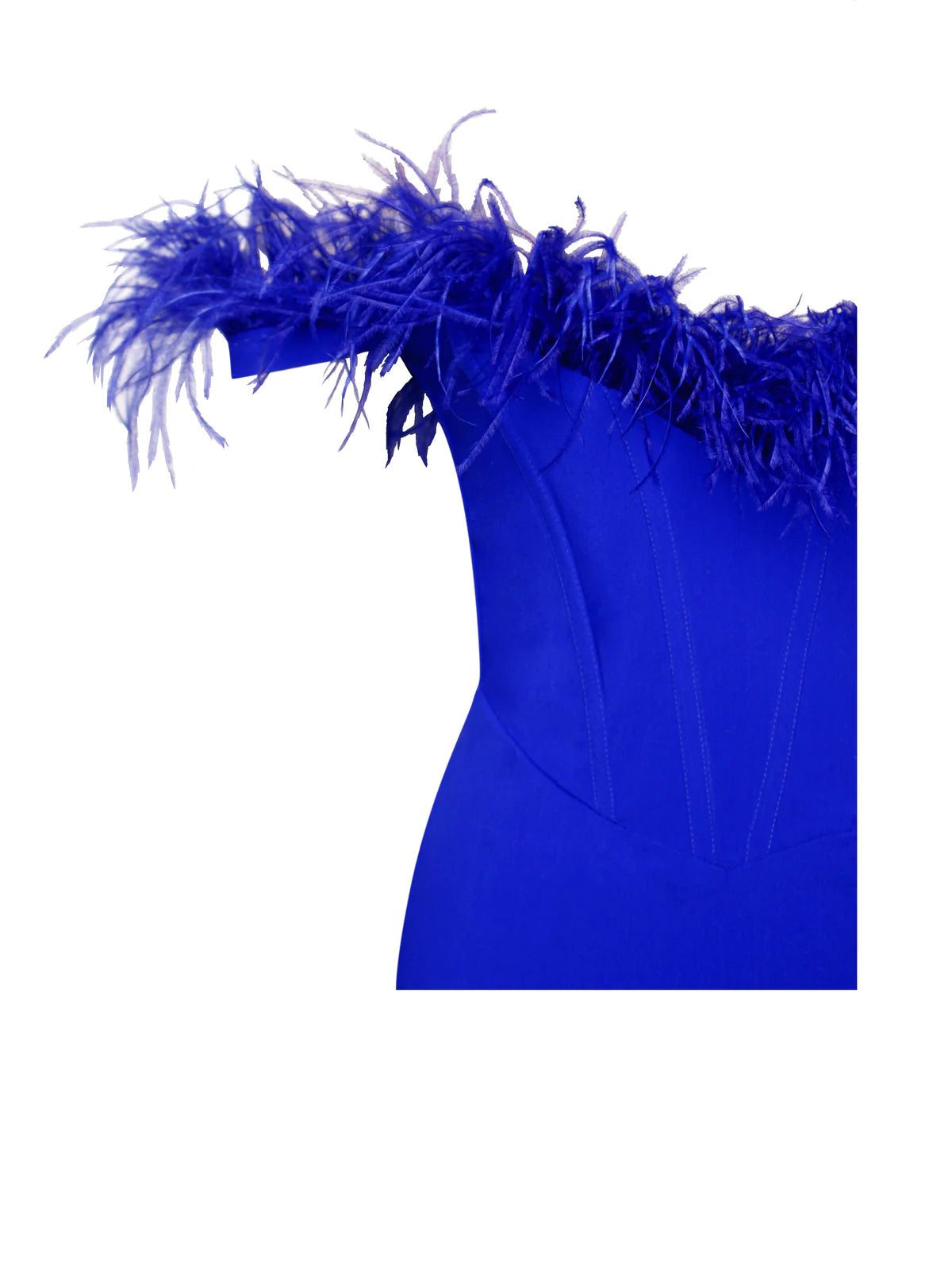 Ophelia Royal Blue Feather Corset Dress